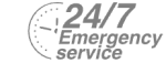 24/7 Emergency Service Pest Control in Camden Town, NW1. Call Now! 020 8166 9746