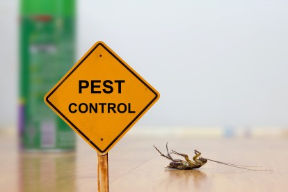 Pest Contol in Camden Town, NW1. Call Now 020 8166 9746